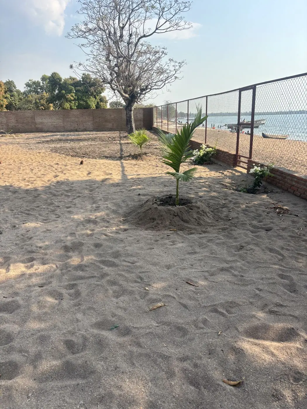 Sandy grounds and fence along the lake shore
